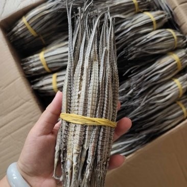 龍魚干的價格范圍是多少？