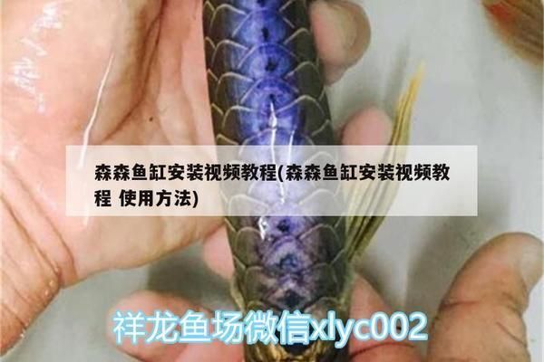 森森魚缸安裝教程視頻：森森魚缸安裝教程
