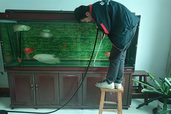 使用隔離喂食法時，需要多久換一次水？