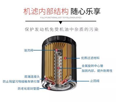 紅龍魚是什么魚類的魚：紅龍魚是什么魚類的？探索這種珍貴觀賞魚的奧秘