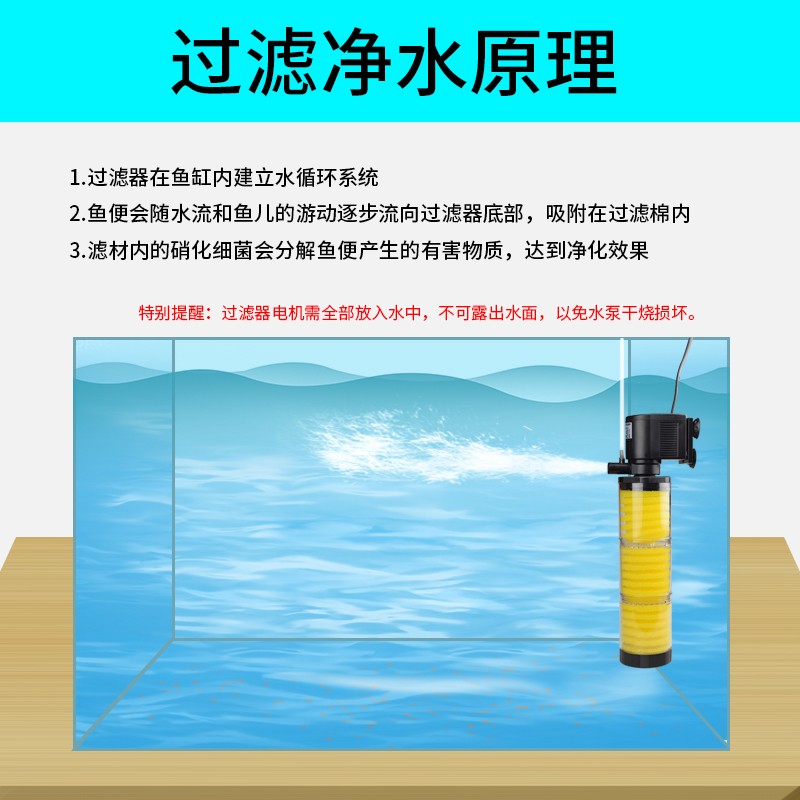 魚缸哪個品牌好一些呢（水族箱品牌歷史與發展）