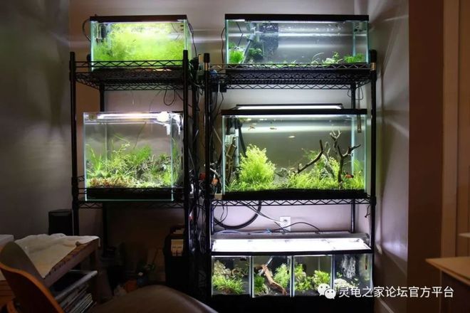 哈爾濱二手魚缸出售信息自制魚缸diy教程：二手魚缸交易注意事項自制魚缸diy教程