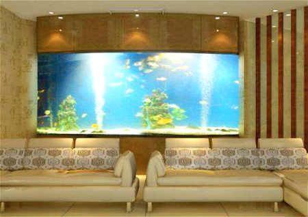 魚缸風(fēng)水布局的最佳方位：魚缸風(fēng)水與五行相生關(guān)系