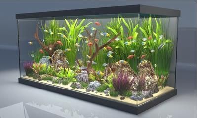 鋼化玻璃是否適合用于制作魚缸，魚缸材質(zhì)對比分析：鋼化玻璃制作魚缸材質(zhì)對比分析除了鋼化玻璃材質(zhì)對比分析