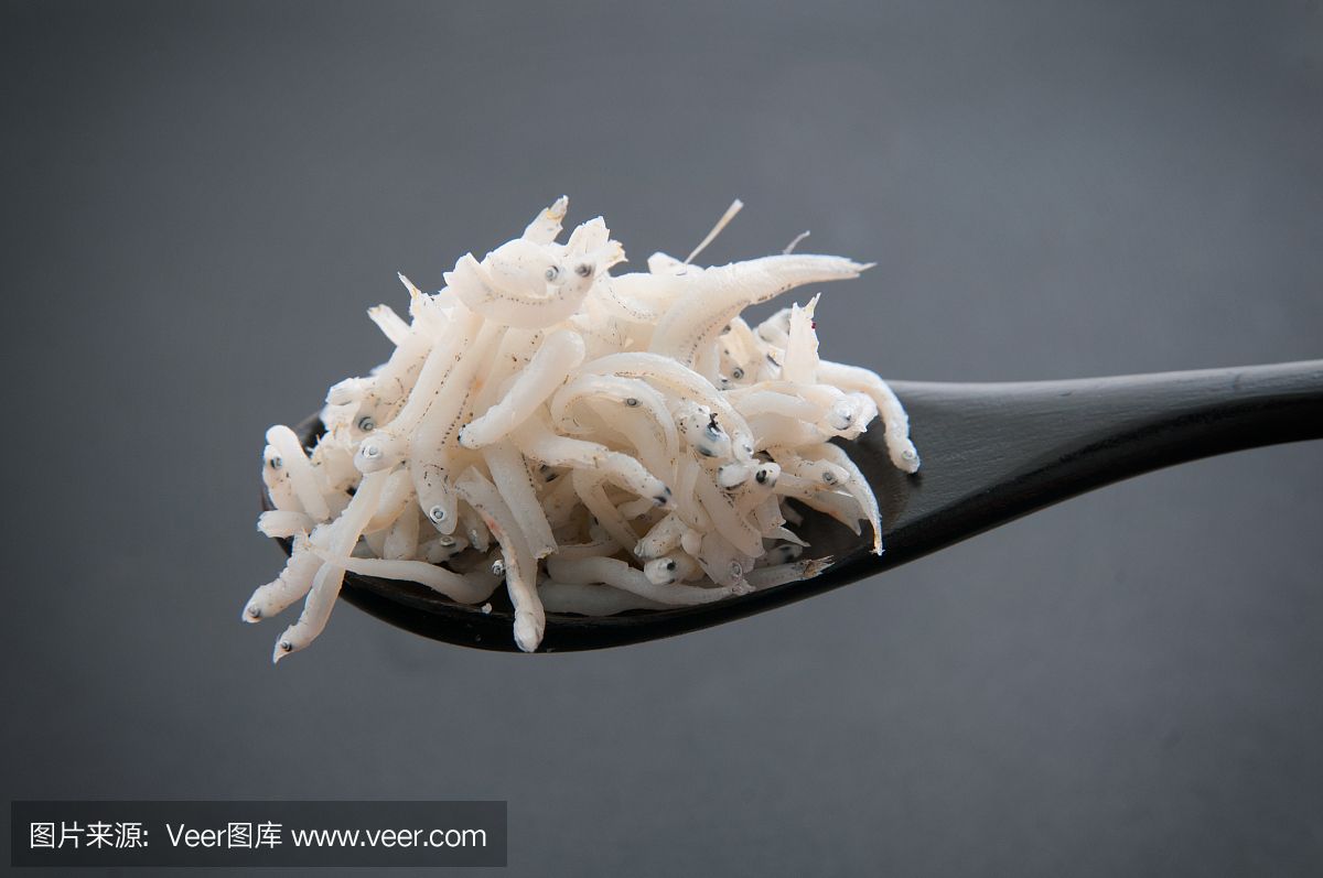 白龍魚是什么魚類：白金龍魚是一種特殊的金龍魚品種，它的典型特點(diǎn)是魚身雪白