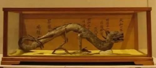 白龍魚是什么魚類：白金龍魚是一種特殊的金龍魚品種，它的典型特點(diǎn)是魚身雪白