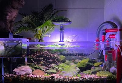 漢江和新漢江超白魚缸哪個好（新漢江超白魚缸品牌背后的故事新漢江超白魚缸品牌背后的故事）