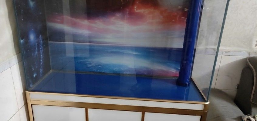 德克小魚缸和森森魚缸哪個好德克魚缸質量評價1.：德克小魚缸與森森小魚缸的區(qū)別
