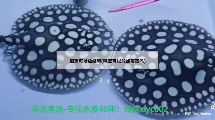 東莞市常平精創(chuàng)水秀水族店