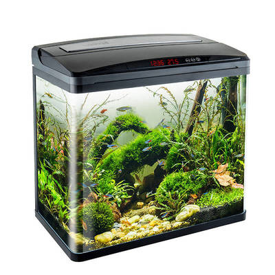 杭州上城區牛兒水族器材店（杭州上城區牛兒水族器材店地址）