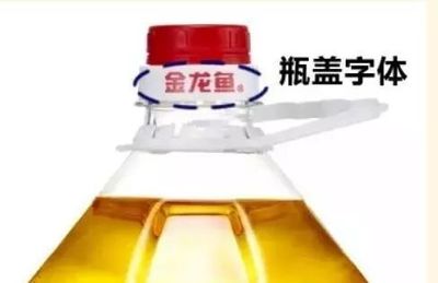 大連大世界家居廣場七彩水族店