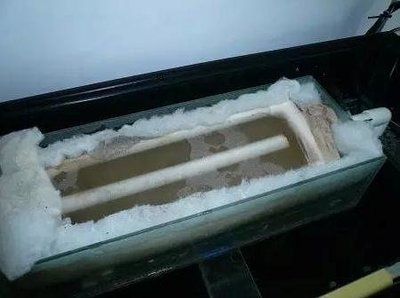 魚缸安裝中的常見問題及解決方案魚缸安裝過程中的常見問題及解決方案：魚缸安裝中的常見問題及解決方案魚缸安裝后的養護與管理同樣重要