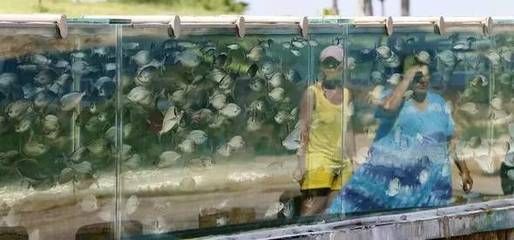 魚缸安裝中的常見問題及解決方案魚缸安裝過程中的常見問題及解決方案：魚缸安裝中的常見問題及解決方案魚缸安裝后的養護與管理同樣重要