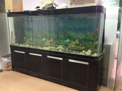 廣東魚缸廠家及其排名情況：水族箱設計與創新魚缸廠家競爭優勢：廣東地區知名魚缸廠家及其排名情況
