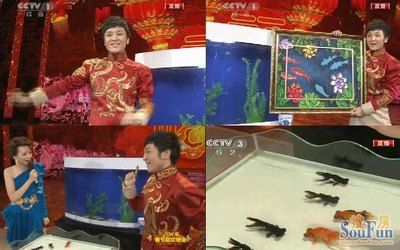 春晚魚缸魔術：春晚魔術師揭秘魚缸魔術
