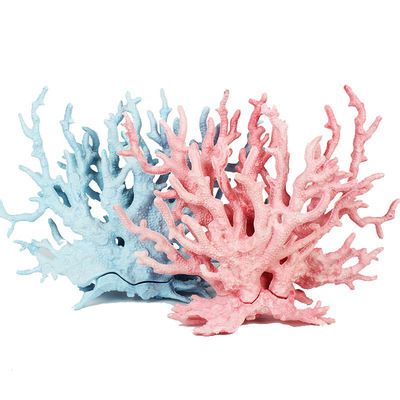 海乾水族魚缸怎么樣：快速訪問,不敢入坑海缸,先到水族店欣賞吧,這口魚缸價值不菲吧
