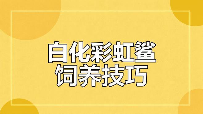 白鯊可以和龍魚(yú)混養(yǎng)