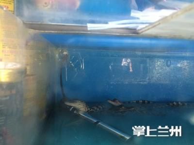 花鳥市場的地理分布：城市花鳥市場的地理分布