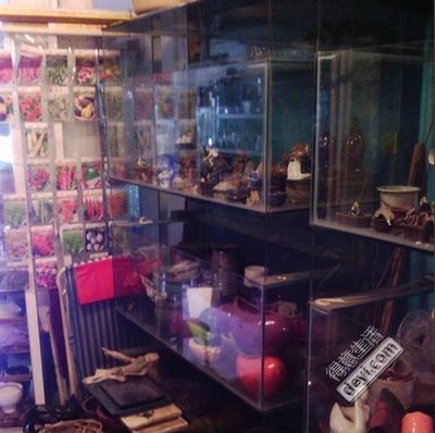 花鳥市場的地理分布：城市花鳥市場的地理分布