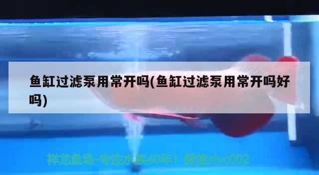 北京玲瓏珍寶珠寶店