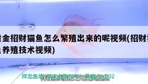北京玲瓏珍寶珠寶店