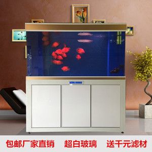 生態(tài)魚缸的構(gòu)建和維護(hù)：廣州市東坦魚缸有限公司提供魚缸定做的服務(wù)與維護(hù)