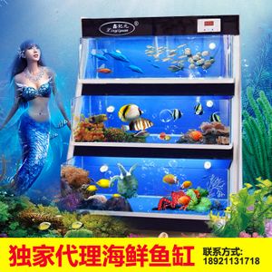 生態(tài)魚缸的構(gòu)建和維護(hù)：廣州市東坦魚缸有限公司提供魚缸定做的服務(wù)與維護(hù)