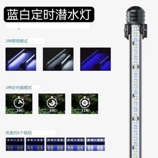 魚缸照明模擬晝夜變化技巧：魚缸日夜照明時間表設(shè)置,模擬自然光照對魚類有何益處