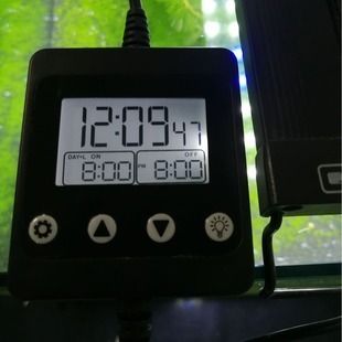 魚缸照明模擬晝夜變化技巧：魚缸日夜照明時間表設(shè)置,模擬自然光照對魚類有何益處