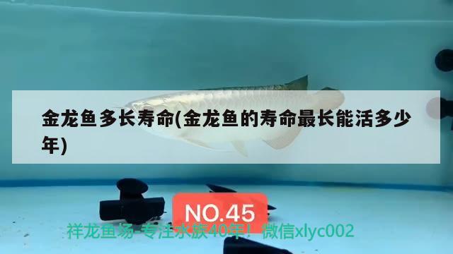 涿州市承峰商貿有限公司（涿州市承峰商貿有限公司電話）