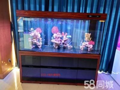 可麗愛魚缸官網專賣店地址在哪里（可麗愛魚缸官網專賣店地址）