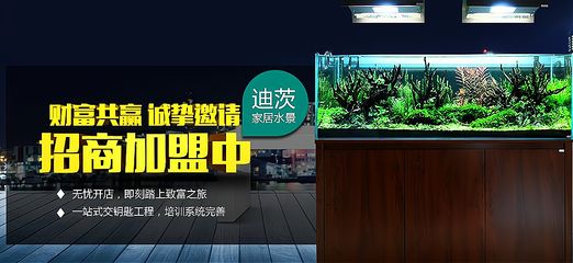 祥龍魚場(chǎng)d水族館加盟（“祥龍魚場(chǎng)”水族館加盟費(fèi)用）