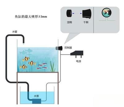 魚缸的水泵不工作原理：魚缸水泵不工作的原因及其解決方案