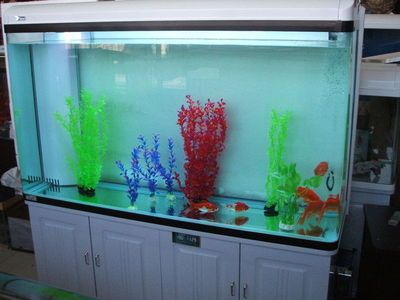 魚缸性價比推薦（佳璐超白魚缸）
