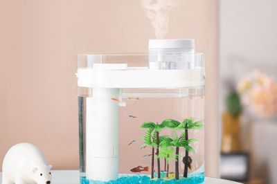 魚缸性價比推薦（佳璐超白魚缸）