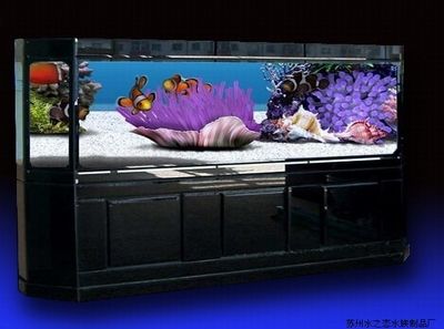 魚缸性價比推薦（佳璐超白魚缸）