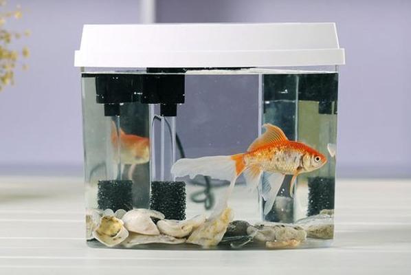 國產品牌魚缸有哪些