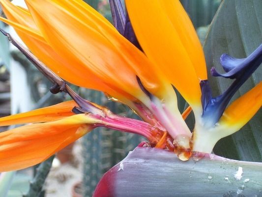 魚缸的水泵不工作原理是什么:如何防止魚缸水泵電機燒毀修復方法 魚缸百科 第2張 魚缸的水泵不工作原理是什么:如何防止魚缸水泵電機燒毀修復方法 魚缸的水泵不工作原理是什么:如何防止魚缸水泵電機燒毀修復方法 魚缸百科 第2張