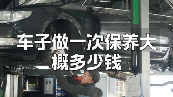 金龍和紅龍哪個更值得養