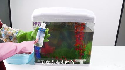 魚缸綠藻怎么清除視頻（清除魚缸綠藻的方法）