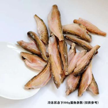 【重慶龍魚價格重慶龍魚圖片重慶龍魚轉讓】