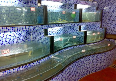 選擇廣州魚缸定做廠家時可以從以下幾個方面考慮：：如何選擇廣州魚缸定做廠家