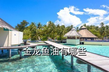 哈爾濱市<strong><mark>道里</mark></strong>區藏金堂觀賞魚店