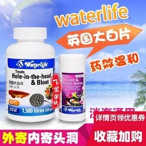 龍魚腸炎的藥物治療（龍魚腸炎怎么治療）