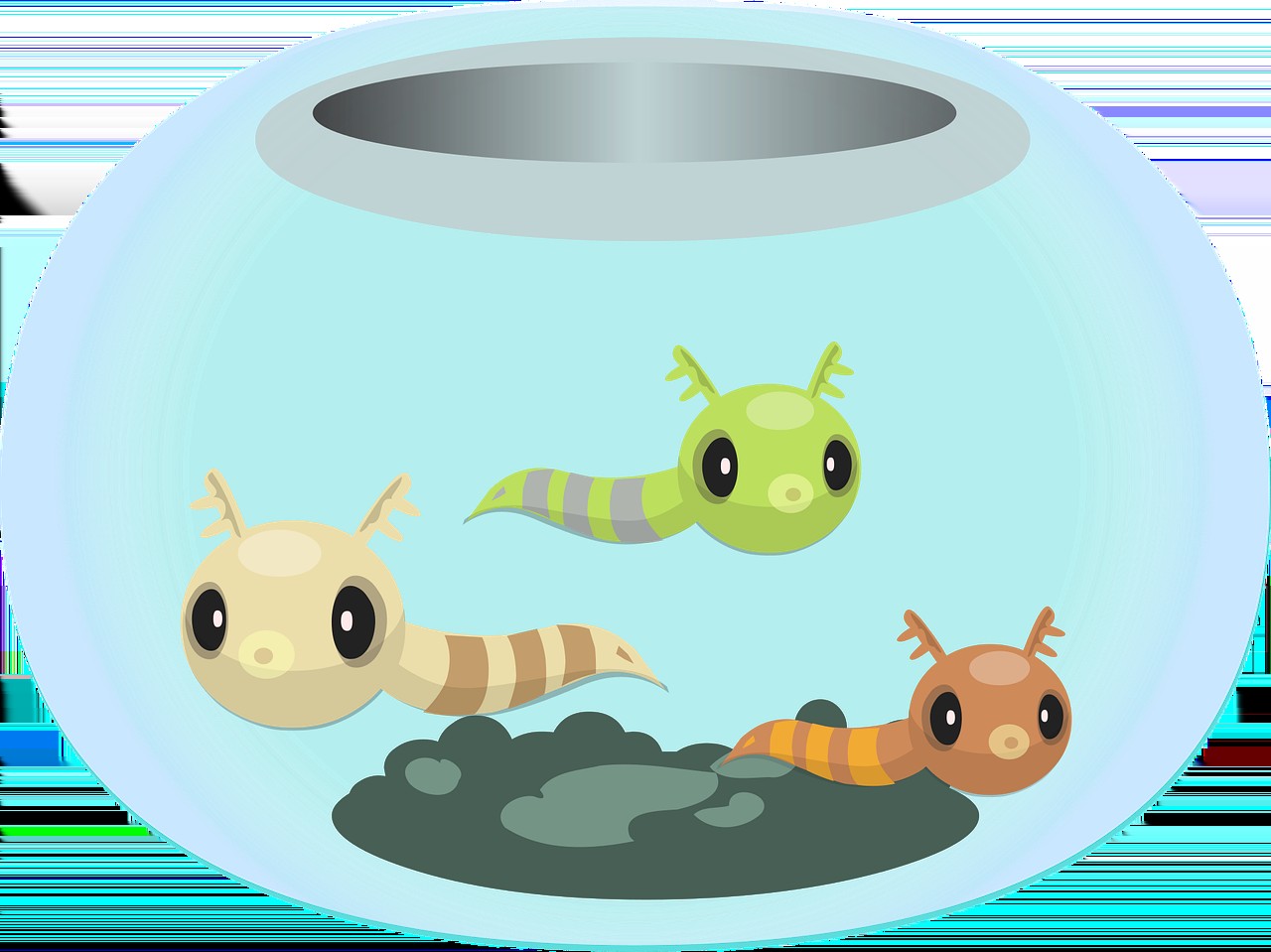 烏蘇市四季水族（烏蘇市四季水族館地址）