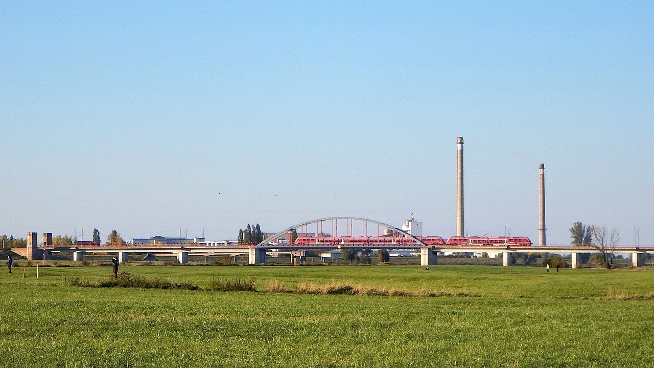 河南金恒人造景觀有限公司（河南金恒人造景觀有限公司怎么樣）