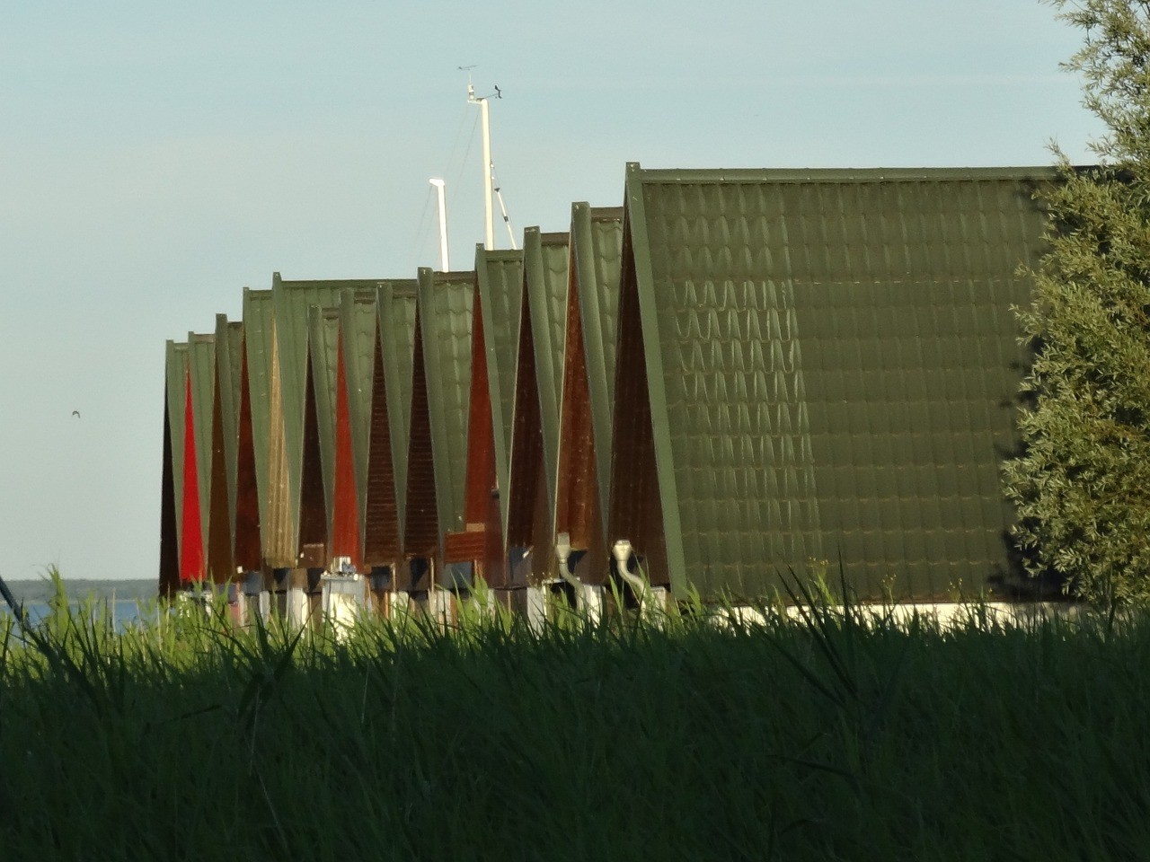 河南金恒人造景觀有限公司（河南金恒人造景觀有限公司怎么樣）