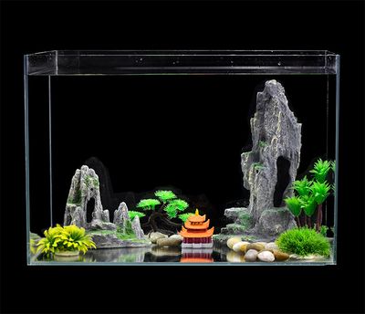 桌面魚缸造景圖片大全（桌面魚缸造景圖片大全桌面魚缸造景圖片和設計理念）