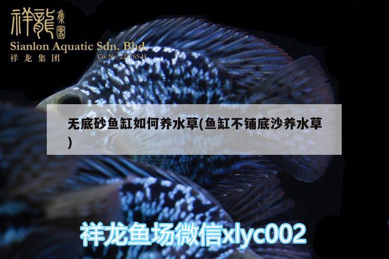吉林省曦為彤想商貿有限公司