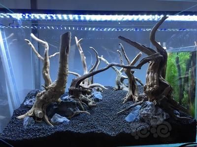魚缸造景圖片大全1.2米（1.2米魚缸造景圖片大全1.2米魚缸造景圖片大全）